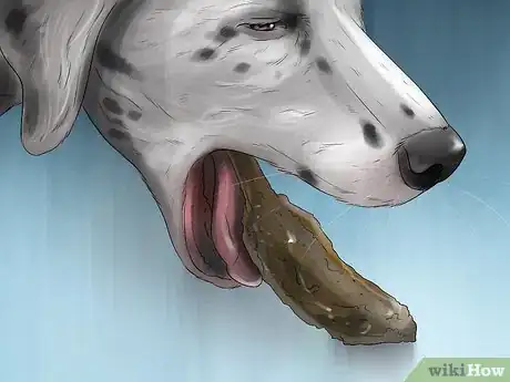 Image intitulée Get a Dog to Vomit Step 15