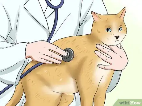 Image intitulée Take Care of Nursing Cats Step 13