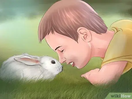 Image intitulée Make Your Rabbit Like You Step 13