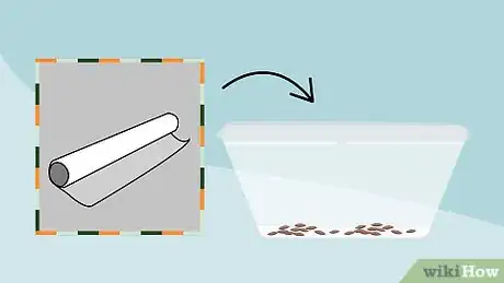 Image intitulée Grow Cress Step 9