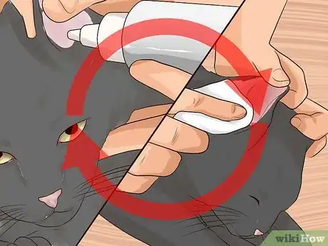 Image intitulée Get Rid of Ear Mites in a Cat Step 12