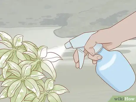 Image intitulée Get Rid of Powdery Mildew on Plants Step 6