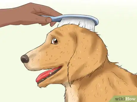 Image intitulée Trim the Coat of a Long Hair Dog Step 6