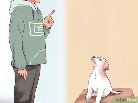 Image intitulée Prepare for a Puppy Step 14