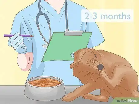Image intitulée Diagnose and Treat Your Dog's Itchy Skin Problems Step 25