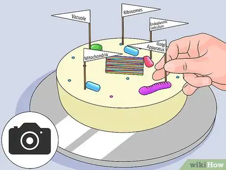 Image intitulée Make a Model Cell Step 15