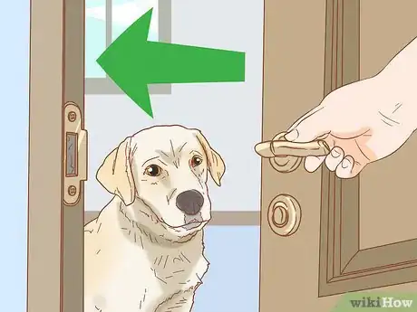 Image intitulée Stop Your Dog from Waking You Up at Night Step 10