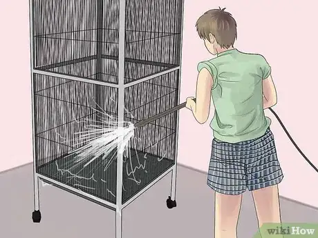 Image intitulée Make a Safe Environment for Your Pet Bird Step 11