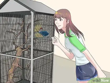 Image intitulée Make a Safe Environment for Your Pet Bird Step 15