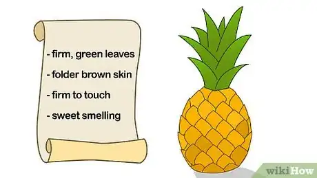 Image intitulée Grow a Pineapple Step 1