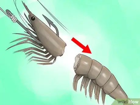 Image intitulée Hook a Shrimp Step 1Bullet3