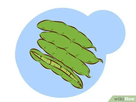 Image intitulée Grow Broad Beans Step 1Bullet1