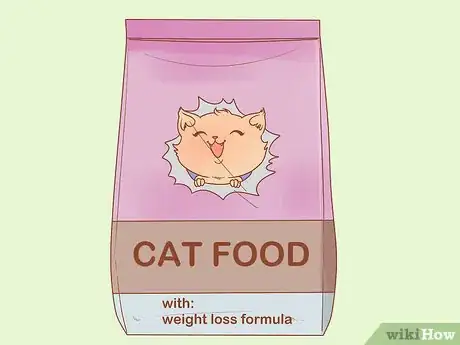 Image intitulée Put Your Cat on a Diet Step 6