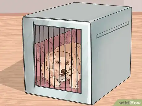 Image intitulée Discipline Your Dog Step 13