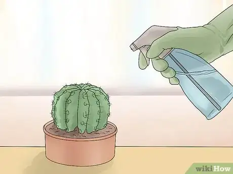 Image intitulée Take Care of Plants Step 2