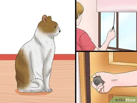 Image intitulée Stop a Male Cat from Spraying Step 7