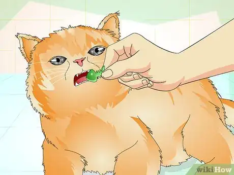 Image intitulée Determine if Your Cat is Overweight Step 11