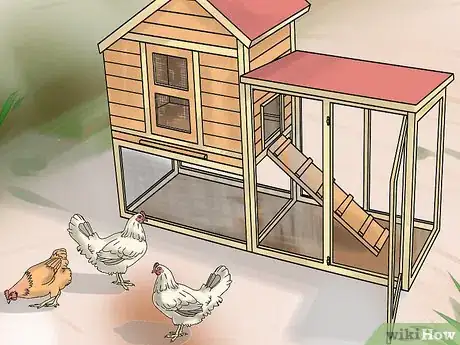 Image intitulée Take Care of Chickens Step 21