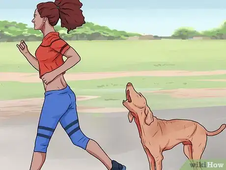 Image intitulée Handle a Dog Attack Step 3