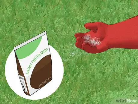 Image intitulée Get Rid of Moss in Your Lawn Step 13