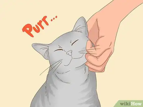 Image intitulée Communicate with Your Cat Step 10