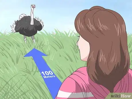 Image intitulée Survive an Encounter with an Ostrich Step 12