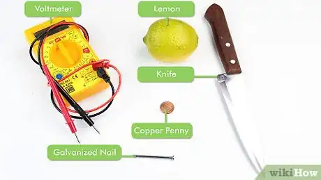 Image intitulée Create a Battery from a Lemon Step 1