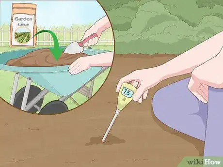 Image intitulée Improve Soil Step 20