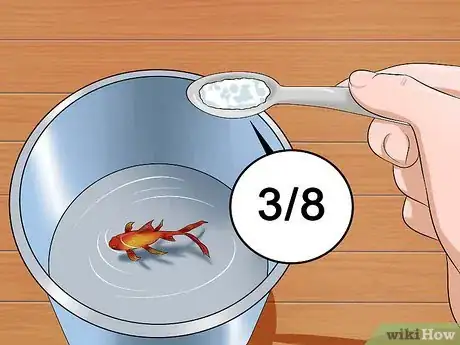 Image intitulée Treat Fish Diseases Step 10