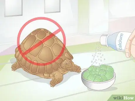 Image intitulée Take Care of a Baby Tortoise Step 12