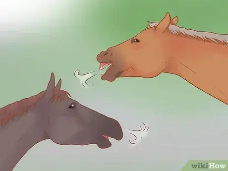 Image intitulée Understand Horse Communication Step 6