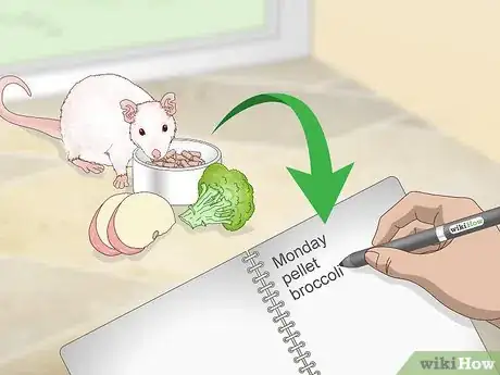 Image intitulée Treat Respiratory Disease in Rats Step 5