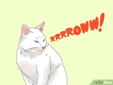 Image intitulée Communicate with Your Cat Step 11