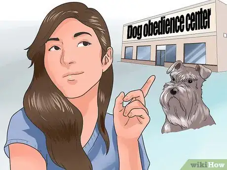 Image intitulée Gain a Dog's Trust Step 10