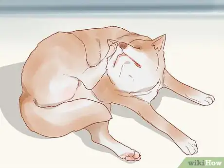 Image intitulée Know When Your Dog is Sick Step 10