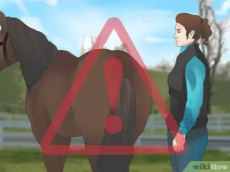 Image intitulée Be Safe Around Horses Step 14