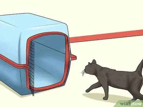 Image intitulée Bring Your Cat to the Vet Without a Carrier Step 11