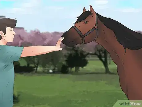 Image intitulée Be Safe Around Horses Step 12