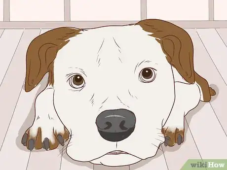 Image intitulée Communicate With Your Dog Step 14