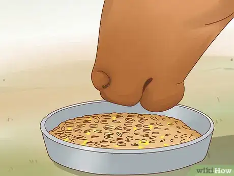 Image intitulée Take Care of Your Horse Step 11