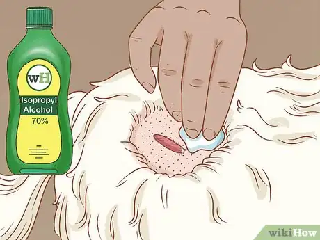 Image intitulée Remove a Dog’s Skin Tags at Home Step 3