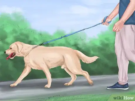 Image intitulée Calm Down a Playful Large Dog Step 1