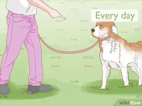 Image intitulée Make Your Dog Stay in Your Yard Without a Leash Step 15