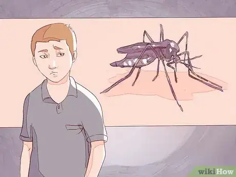 Image intitulée Differentiate Between Malaria, Dengue, and Chikungunya Step 14