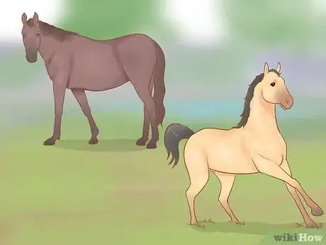 Image intitulée Understand Horse Communication Step 5