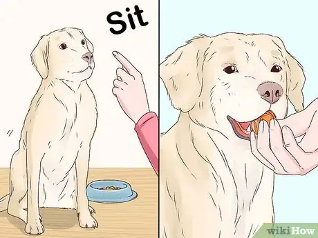 Image intitulée Stop a Dog from Eating Too Fast Step 9