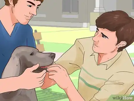 Image intitulée Train Your Dog for a Dog Show Step 9