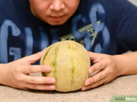 Image intitulée Ripen a Cantaloupe Step 12