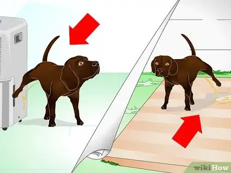 Image intitulée Stop Dog Marking Behaviors Step 1