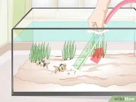 Image intitulée Do a Water Change in a Freshwater Aquarium Step 7